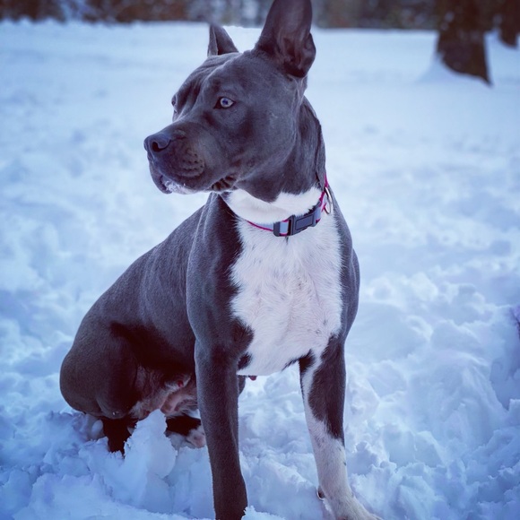 Meet me - Picture 13 of 16